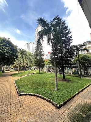Cần bán chung cư Hòa Bình, Q.10 — ảnh 1