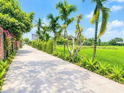 Chính chủ bán lô điện bàn tây | đất 130m² chỉ 5xx/lô — ảnh 1