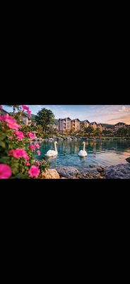 Tinh Hoa Đảo Ngọc Hải Vân Bay sống trọn đỉnh cao ,đầu tư thắng lớn — ảnh 1