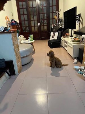 Cho thuê nhà riêng 30m2 x 4 tầng, Ngọc Khánh, Ba Đình — ảnh 1