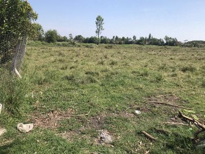Cần bán đất trung lập thượng, củ chi – 404.8m² có 200 m2 thổ cư — ảnh 1