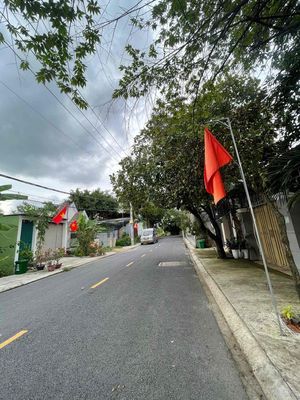 Bán đất Thạnh Xuân 52 Quận 12 100m2 gần sông Vàm Thuật — ảnh 1