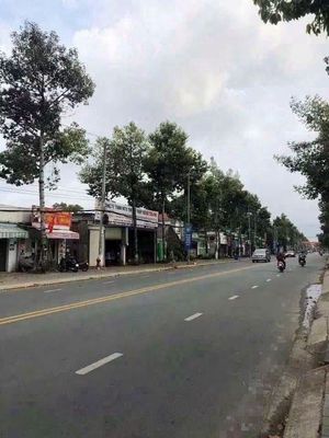 Bán nhà cấp bốn mặt tiền Lê Hồng Phong, Phú Lợi, 170m2 — ảnh 1