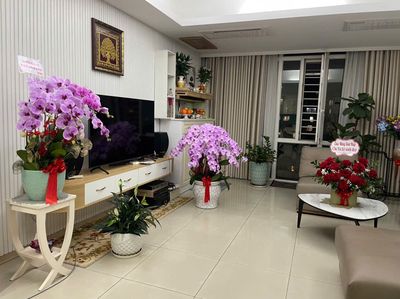 Bán căn hộ Imperi An Phú Q2, view ĐN 135m2, 3PN giá 9,8 tỷ — ảnh 1