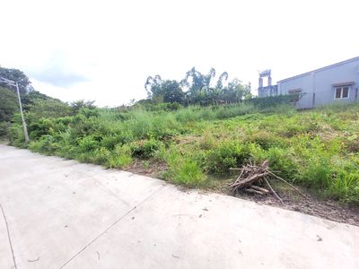 5x20 full thổ. Trung tâm Gần KCN Phước Đông. 530tr có TL — ảnh 1