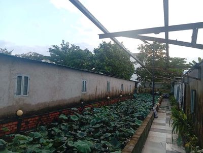 Cho thuê nhà vườn hoặc làm kho bãi. — ảnh 1