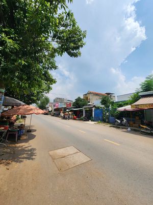 Bán Nhà Mặt Tiền Kinh Doanh - Đường Châu Văn Lồng - Long Bình Tân — ảnh 1