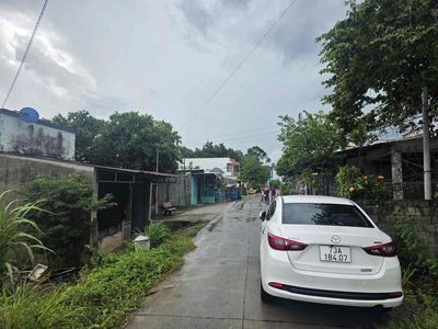 Chủ đất đang cần tiền đi nước ngoài cần bán gấp lô đất ở Tân An Hội — ảnh 1