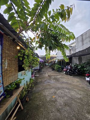 49tr/m2 - chính chủ bán lô góc mặt tiền kế tân bình, tân phú. — ảnh 1