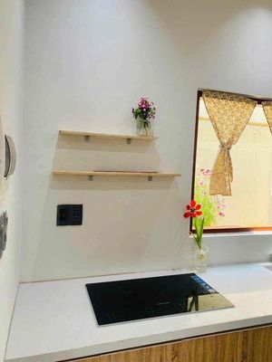 236 cho thuê nhà có sân vườn nhỏ khu dương khuê — ảnh 1
