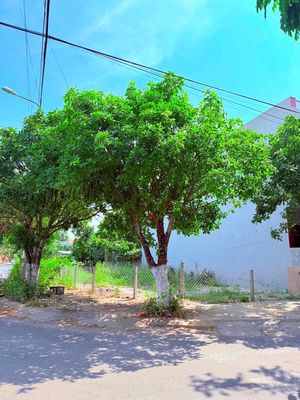 Bán đất 2 mặt tiền đường Đô Đốc Tuyết - Lê Quang Định giá rẻ — ảnh 1