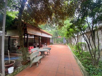 Cho thuê nhà Vườn P Phú Mỹ - Thủ Dầu - Bình Dương — ảnh 1