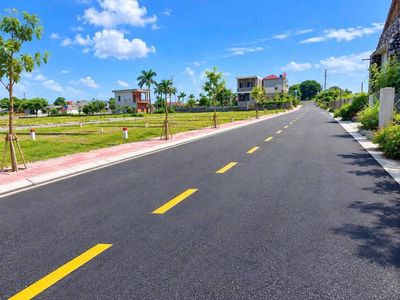 Chính chủ cần bán gấp đất quất lâm, nam định xoay tiền cho con du học — ảnh 1