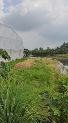 Ngộp! Cần bán nhanh lô đất 182m2 thổ cư. Giá 750Tr. Ấp 7 xã Mỹ Yên — ảnh 1