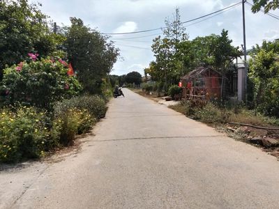 Ngân hàng thanh lý đất đẹp – giá cực tốt — ảnh 1