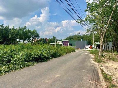 Đất 1/Trần Đại Nghĩa,Hoà Lợi Bến Cát cũ nhựa 5m 11x110 sát Visip2 — ảnh 1