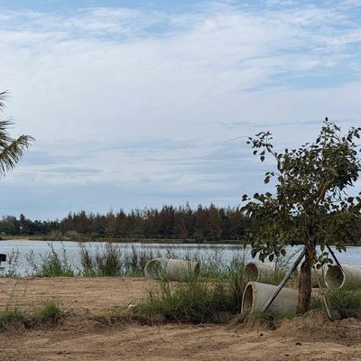 Bán lô đất view sông trực diện – cẩm nam, hội an — ảnh 1