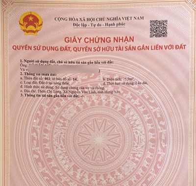 Trục chính chi long – nguyễn văn linh — ảnh 1