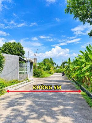 Bán gấp--lô diện tích lớn khu chợ đầu mối hòa xuân — ảnh 1