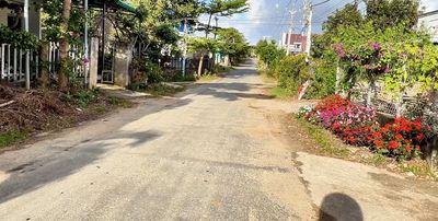CC cần bán đất KKT mới Châu Sơn, xã D'Ran, Đơn Dương, Lâm Đồng — ảnh 1