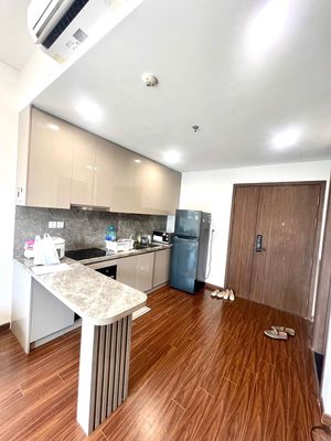 Cho thuê căn hộ 1N+ khu M full đồ đẹp có giường tầng — ảnh 1