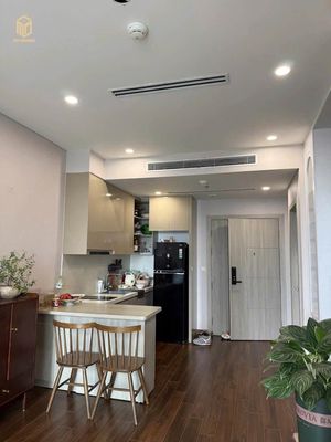 Cho thuê căn hộ 1N+ Mas full đồ - 11 triệu/tháng — ảnh 1