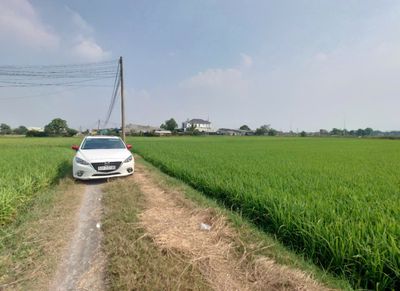 400m2 10x40m sát bên Khu CN Nam Thuận Hải Sơn 500m, sau lưng 823D — ảnh 1