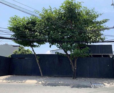Cho thuê mbkd đường lê văn lương - 750m2 - mt ngang 25m - giá tốt cho — ảnh 1