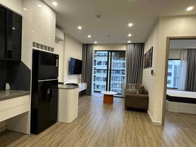 Cho thuê căn hộ 1N+1 full nội thất S303 Lumiere Evergreen Smart City — ảnh 1