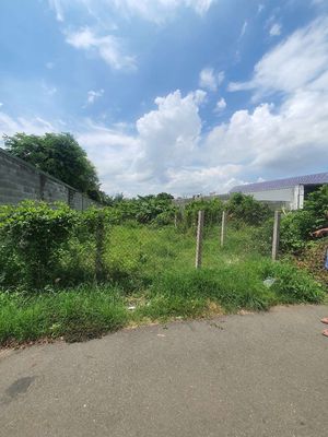 Bán 338m2 đất thổ cư shr trung tâm tp Bà Rịa,nay phường Tam Long tphcm — ảnh 1