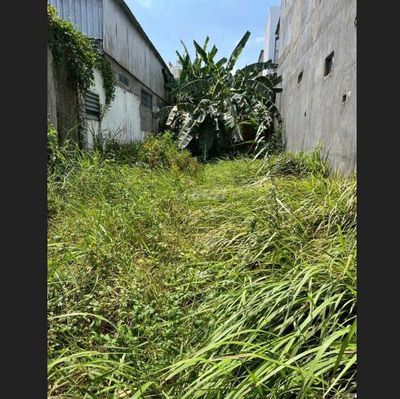 Bán Đất Chính Chủ - KCN Hiệp Phước — ảnh 1