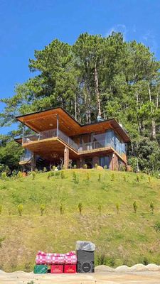 Cho thuê villa gỗ view 360° siêu đẹp – đà lạt vị trí: phường xuân — ảnh 1