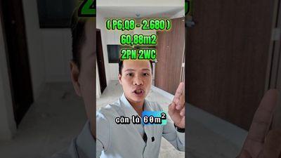Bán căn hộ Green River Q8, 65m2, 2PN — ảnh 1