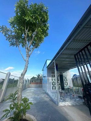 Bán Nhà đất Bình Tả, Đức Hoà, Long An giá siêu hời — ảnh 1