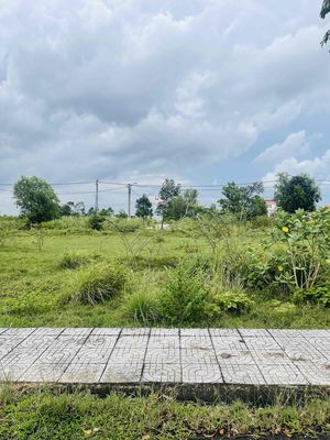 Bán đất Long Cang — ảnh 1