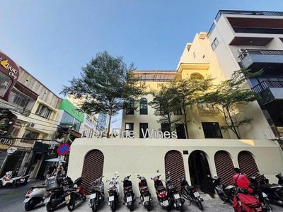 Hot biệt thự nam kỳ khởi nghĩa q3, 15x15m, trệt 2 lầu, giá chỉ 90tr — ảnh 1