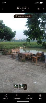 Nhà cho thuê Bịch Đông 2 tầng, 4pn sân vườn rộng — ảnh 1