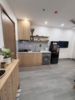 Cho thuê căn hộ 1PN full nội thất Khuê Mỹ Đông 7, Đà Nẵng — ảnh 1