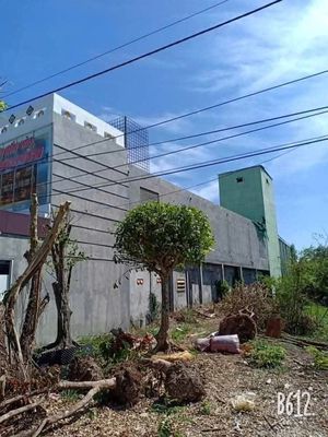 Ban nha 567m2 tho cu 300 — ảnh 1