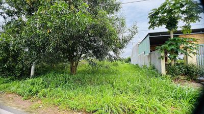 Ngang 11,2m mặt tiền đường nhựa – đất nở hậu, có 100m² thổ cư! — ảnh 1