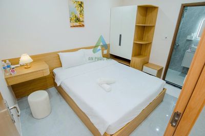 Cho thuê nhà 1,5 tầng đường lê hữu trác,sơn trà giá 32 triệu — ảnh 1