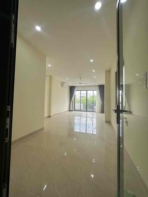 Biệt thự phố đẹp ngỡ ngàng 4 tầng – 5pn – chỉ 37tr tại linh xuân — ảnh 1