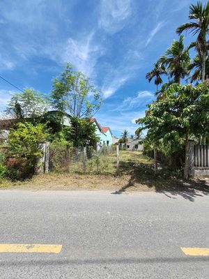 Bán lô đất mặt tiền đường tống văn sương – view hồ thoáng mát — ảnh 1