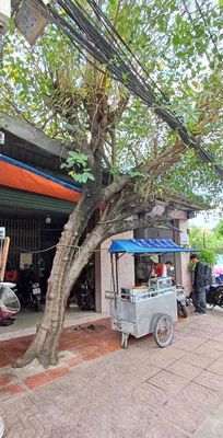 Mặt bằng 200 m2 chợ Thủ Đức. — ảnh 1